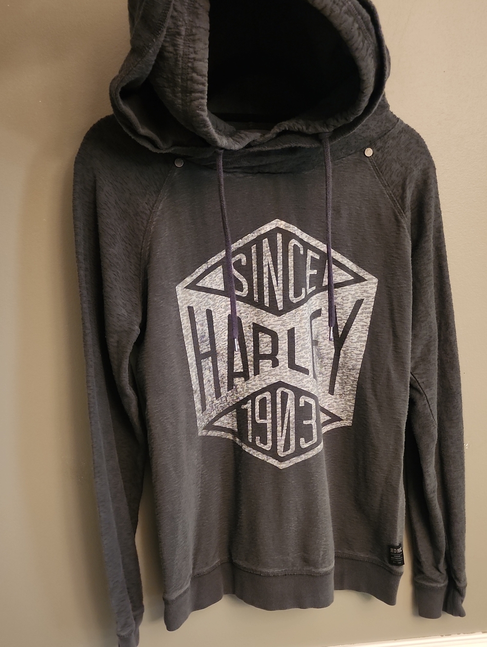 Harley-Davidson Hoodie with Front Logo - Picture 2 of 16
